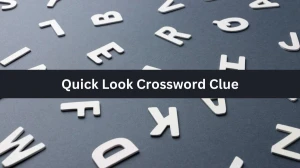 Quick Look Puzzle Page Crossword Clue Answer from August 09, 2024