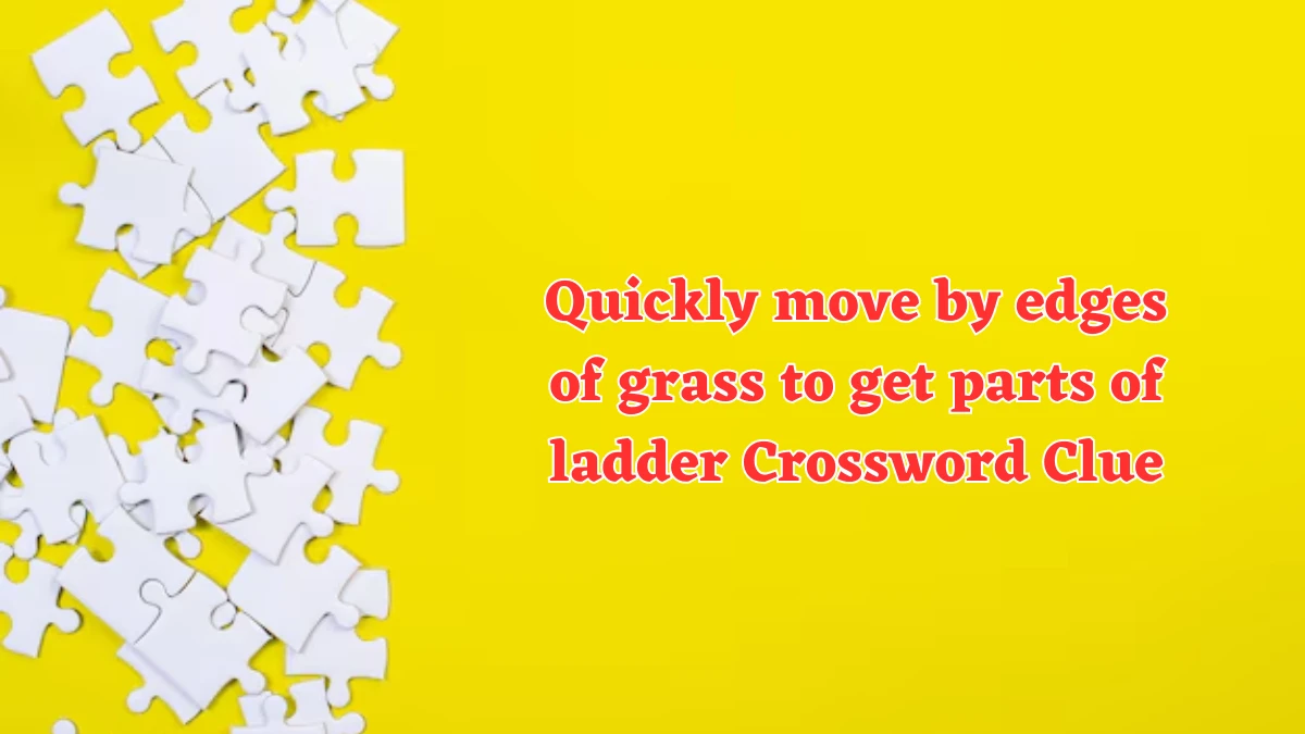 Quickly move by edges of grass to get parts of ladder Crossword Clue Puzzle Answer from August 01, 2024