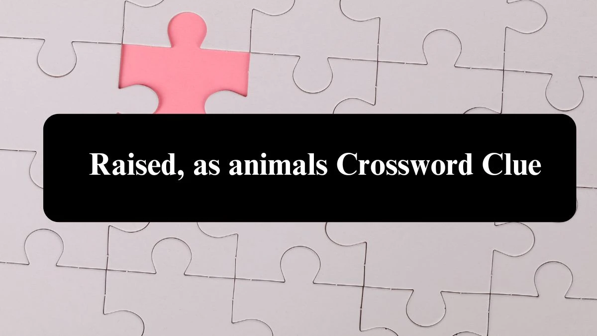 Daily Commuter Raised, as animals Crossword Clue Puzzle Answer from August 07, 2024