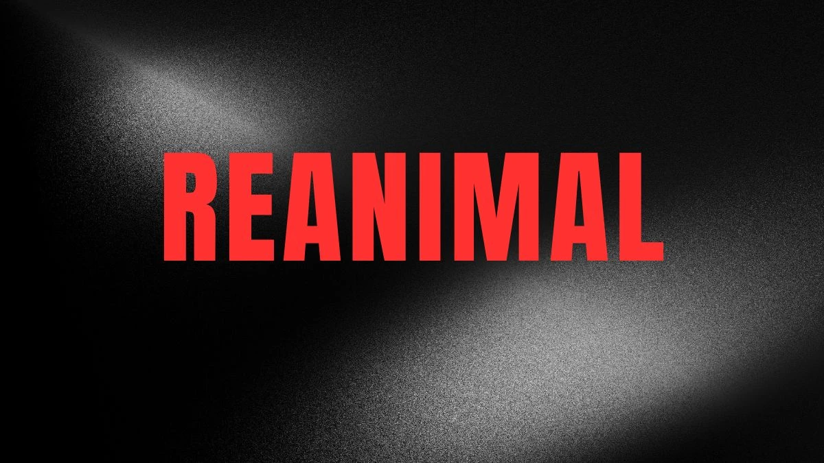 Reanimal Release Date, What to Expect in the Game?