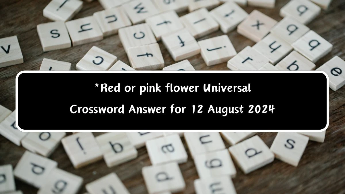 *Red or pink flower Universal Crossword Clue Puzzle Answer from August 12, 2024