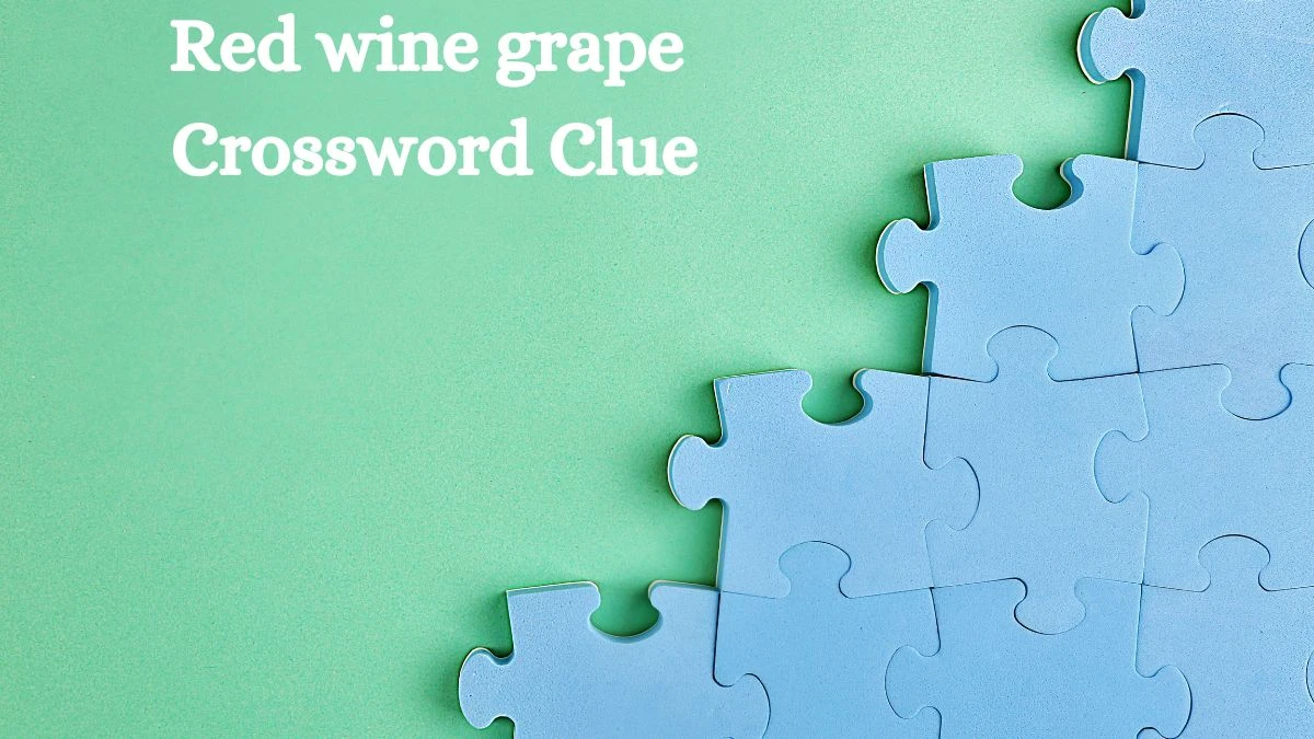 LA Times Red wine grape Crossword Clue Puzzle Answer from August 06, 2024