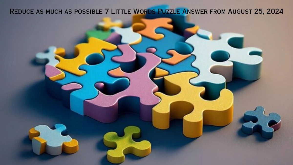 Reduce as much as possible 7 Little Words Puzzle Answer from August 25, 2024