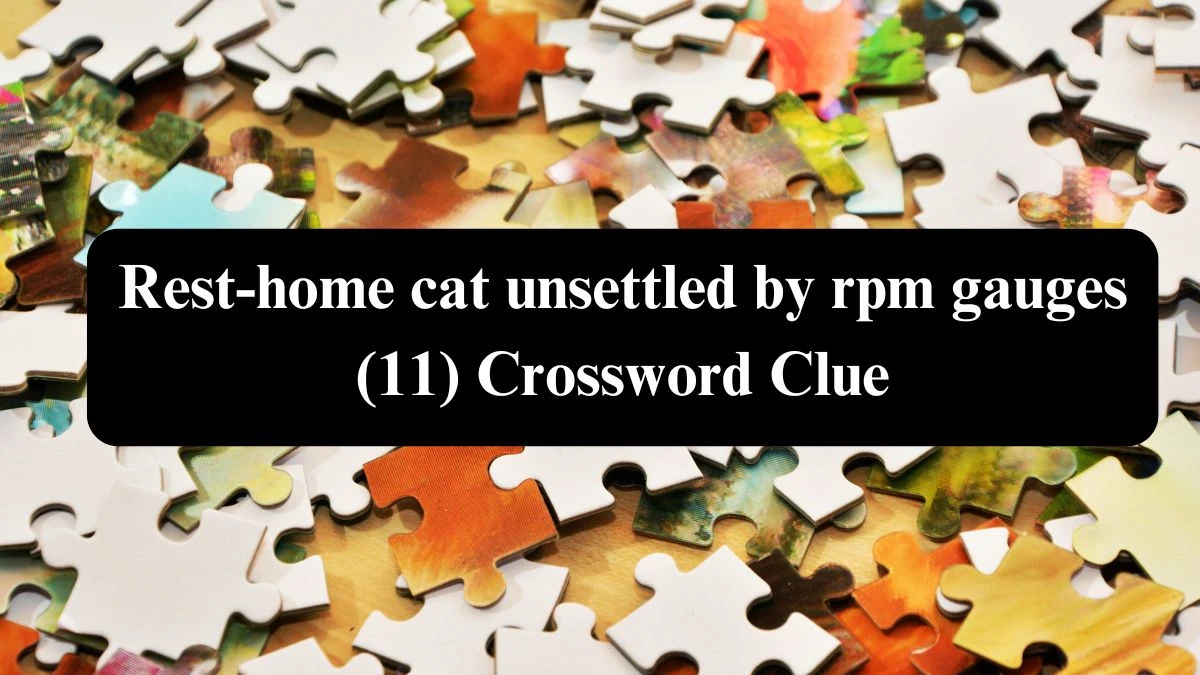 Rest-home cat unsettled by rpm gauges (11) Crossword Clue Answers on August 05, 2024