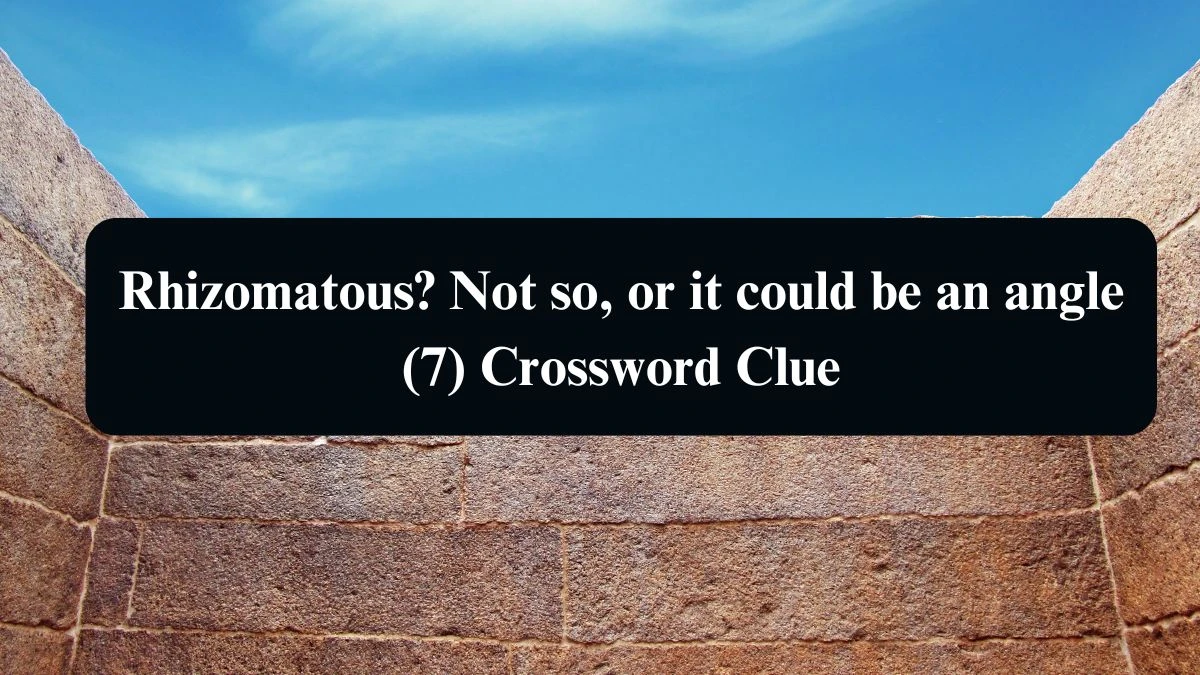 Rhizomatous? Not so, or it could be an angle (7) Crossword Clue Answers on August 11, 2024