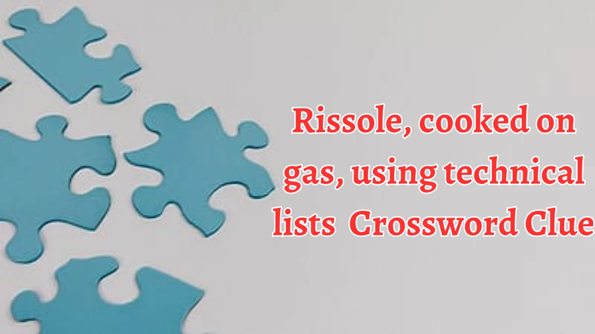 Rissole, cooked on gas, using technical lists Crossword Clue Puzzle Answer from August 22, 2024