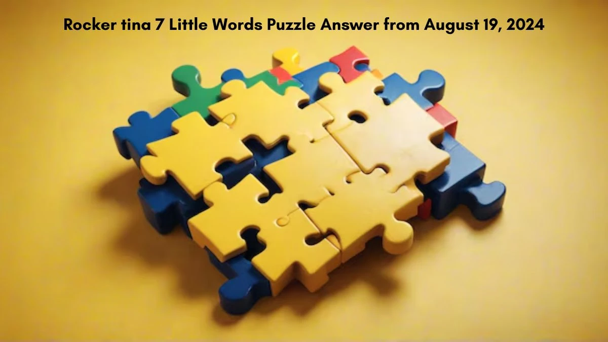 Rocker tina 7 Little Words Puzzle Answer from August 19, 2024