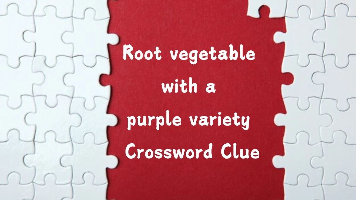 Universal Root vegetable with a purple variety Crossword Clue Puzzle Answer from August 05, 2024