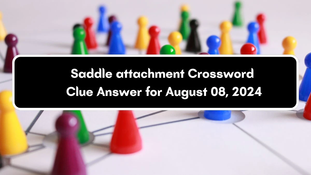 Daily Commuter Saddle attachment Crossword Clue 5 Letters Puzzle Answer from August 08, 2024