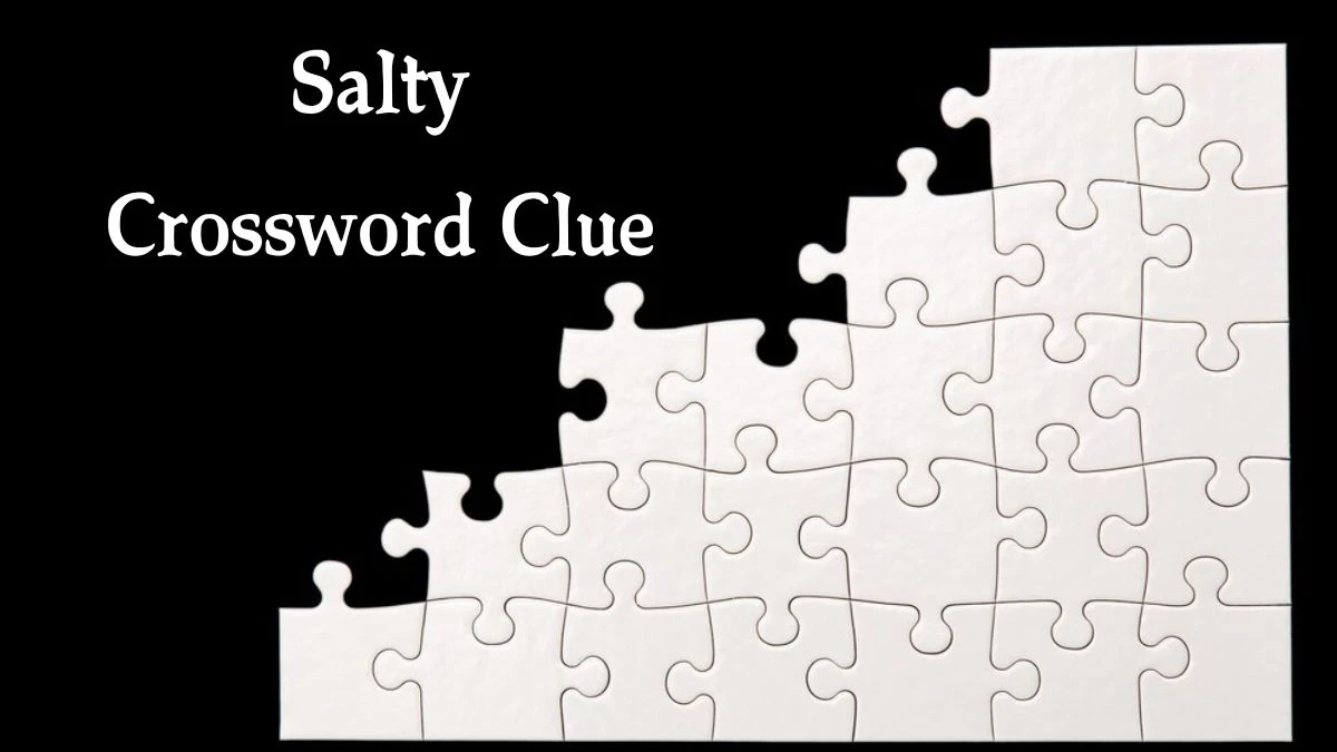 Salty Crossword Clue Puzzle Answer from August 16, 2024