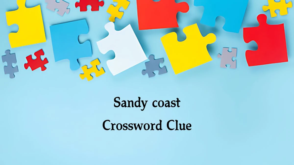 Sandy coast Crossword Clue Answers on August 08, 2024