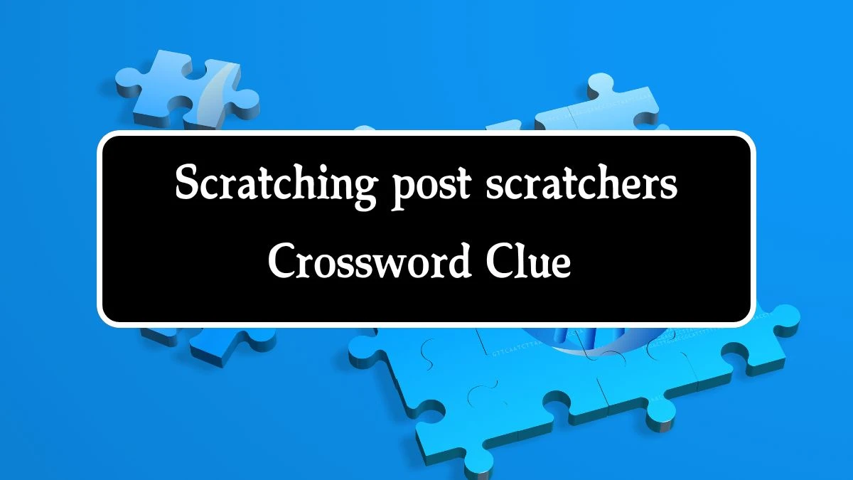 NYT Scratching post scratchers (4) Crossword Clue Puzzle Answer from August 22, 2024