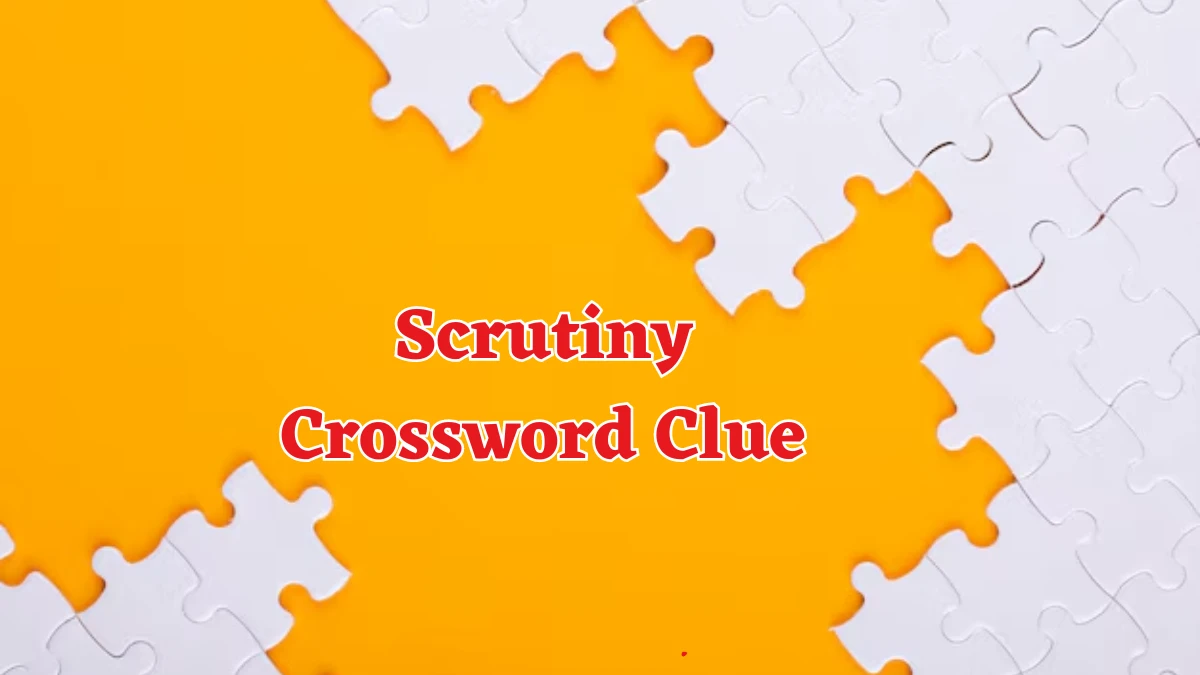 Scrutiny Crossword Clue Answers on August 17, 2024