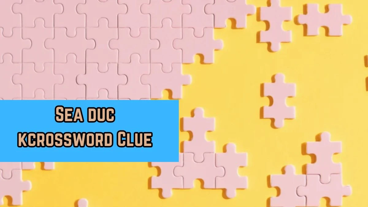 Irish Daily Mail Quick Sea duck 5 Letters Crossword Clue Puzzle Answers from August 28, 2024