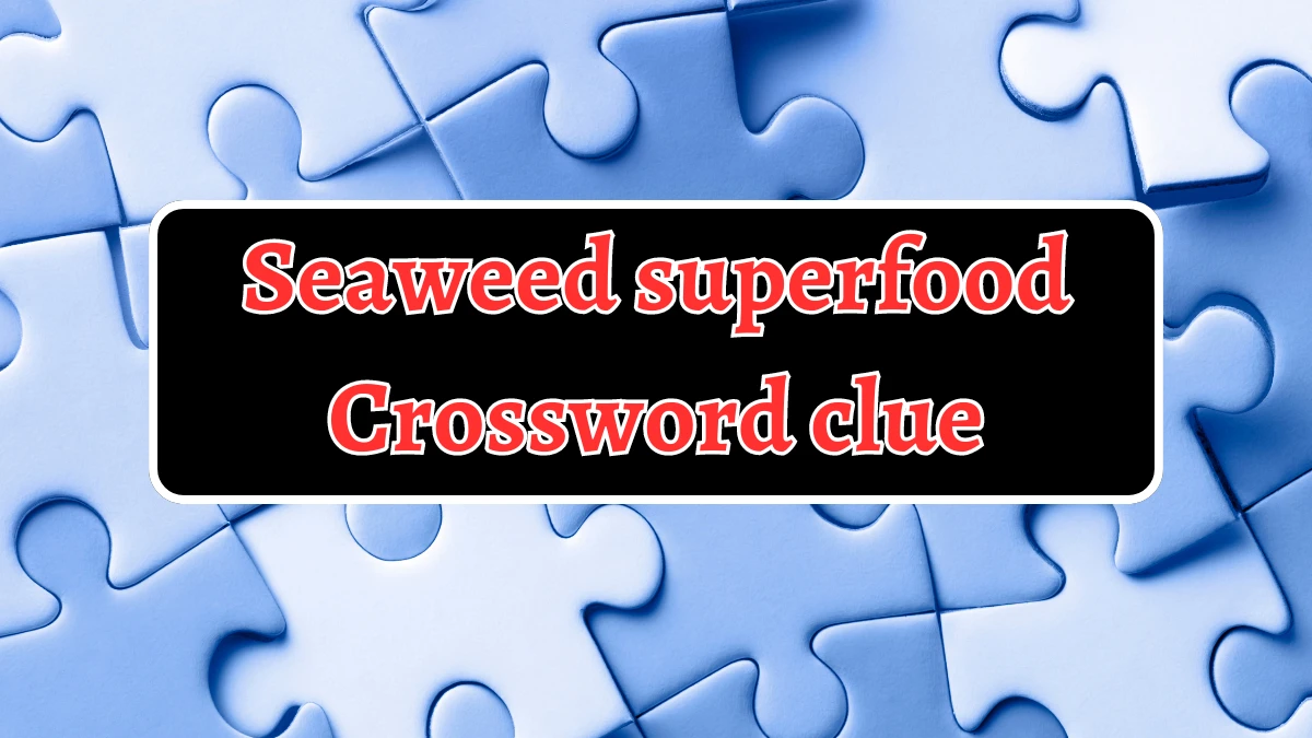 LA Times Seaweed superfood Crossword Clue Answers with 4 Letters from August 20, 2024