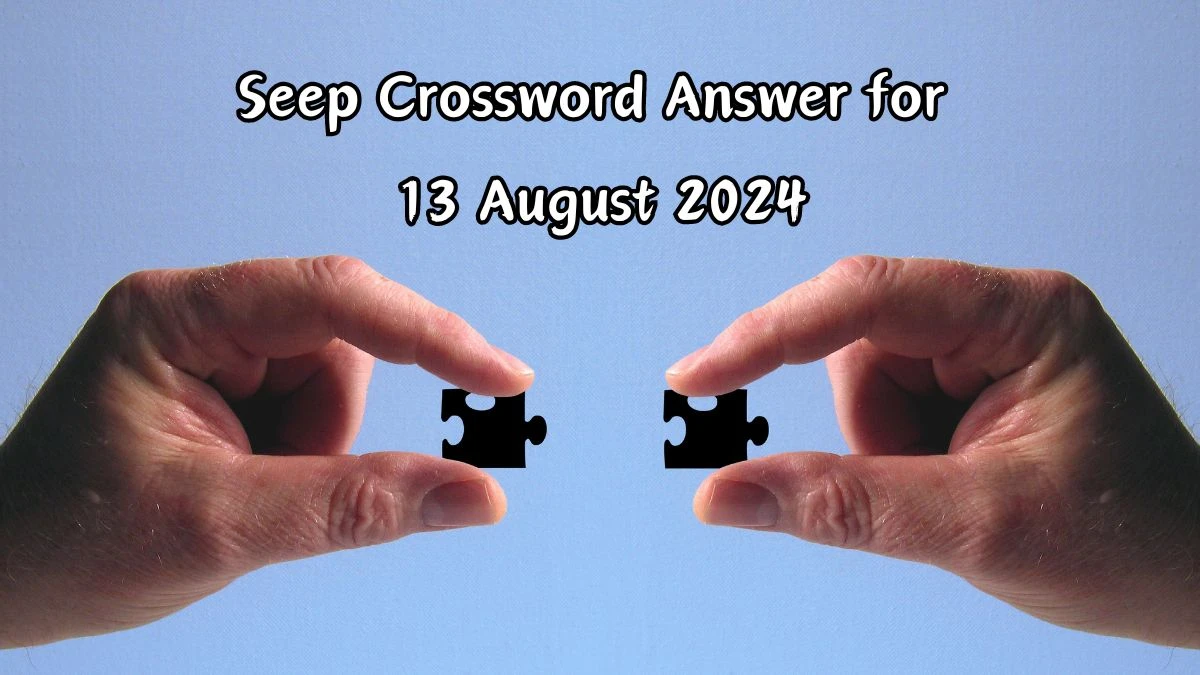 LA Times Seep Crossword Puzzle Answer from August 13, 2024