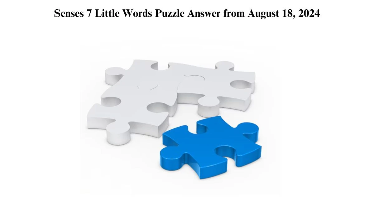 Senses 7 Little Words Puzzle Answer from August 18, 2024