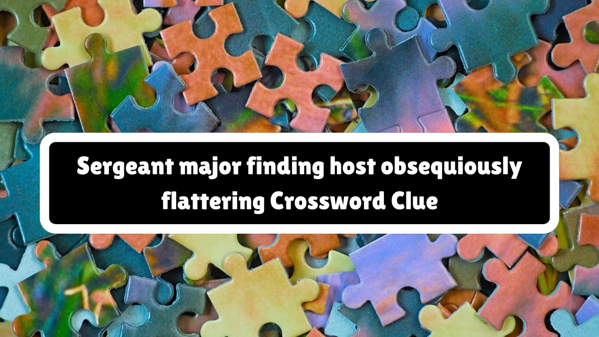 Sergeant major finding host obsequiously flattering Crossword Clue Puzzle Answer from August 04, 2024