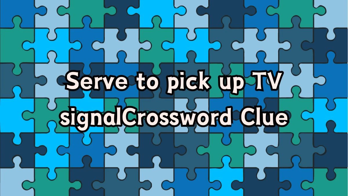 Serve to pick up TV signal Crossword Clue Answers on August 24, 2024