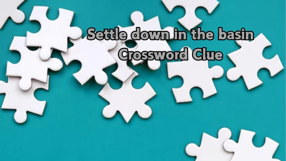 Settle down in the basin Crossword Clue Puzzle Answer from August 21, 2024