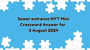 Sewer entrance NYT Crossword Clue Puzzle Answer from August 03, 2024