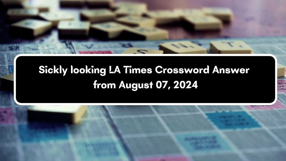 LA Times Sickly looking Crossword Clue Puzzle Answer from August 07, 2024