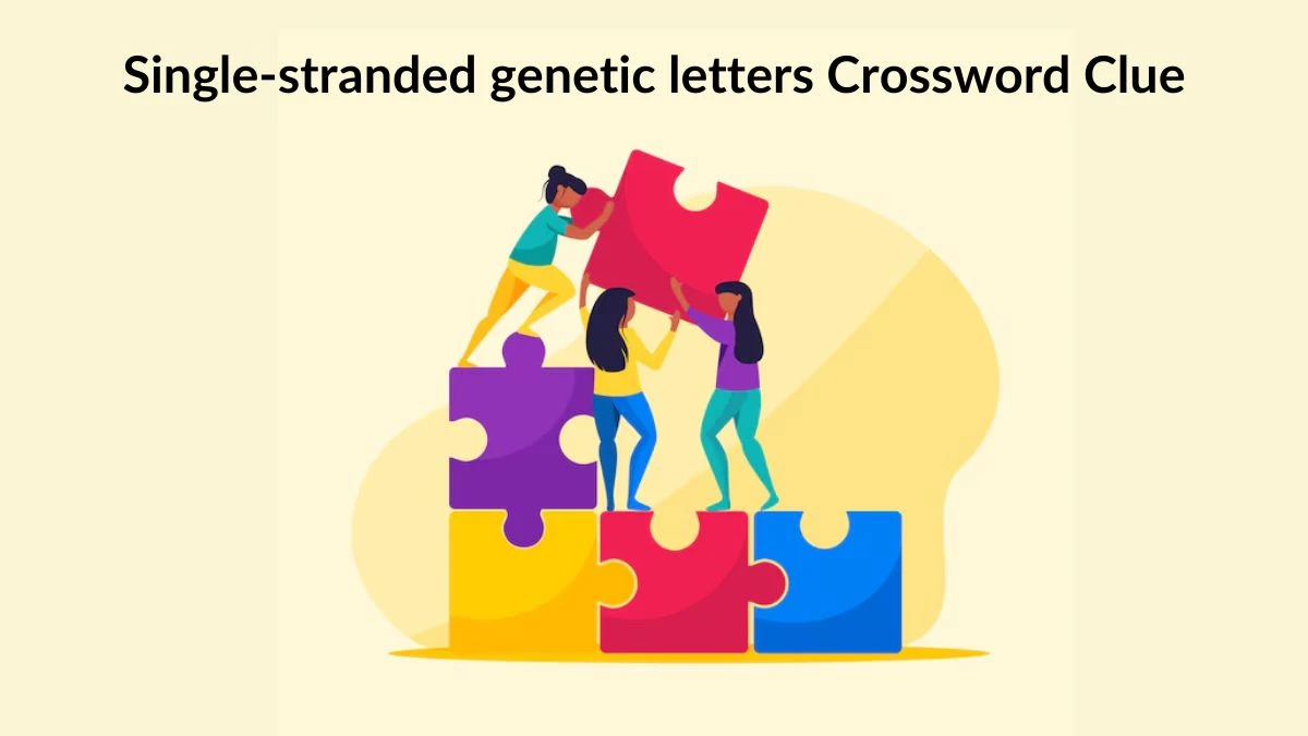 Single-stranded genetic letters Crossword Clue Daily Themed 3 Letters Puzzle Answer from August 18, 2024