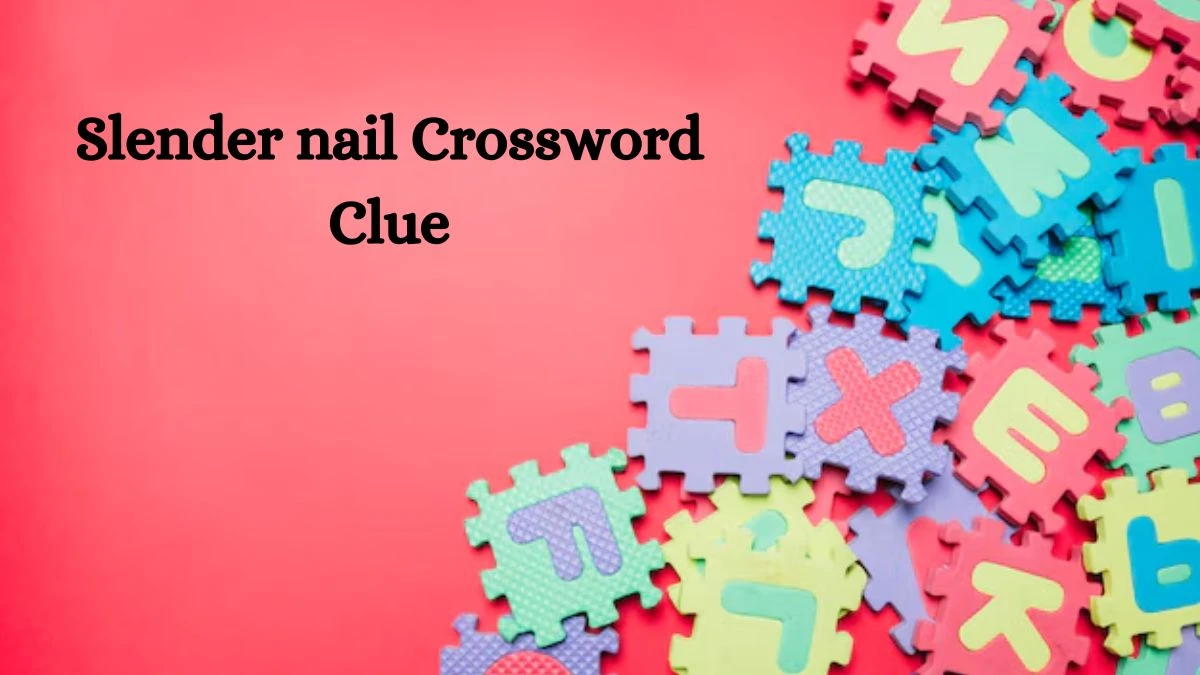 LA Times Slender nail Crossword Clue Answers with 4 Letters from August 11, 2024