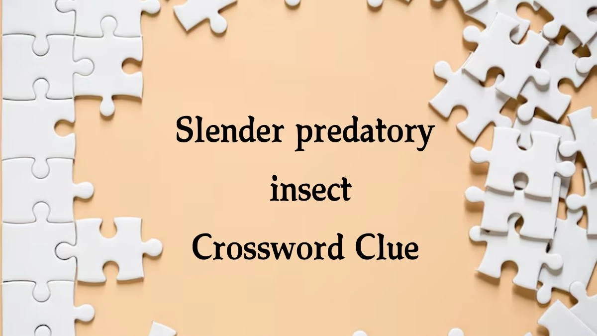 Slender predatory insect Irish Daily Mail Quick Crossword Clue Puzzle Answer from August 19, 2024