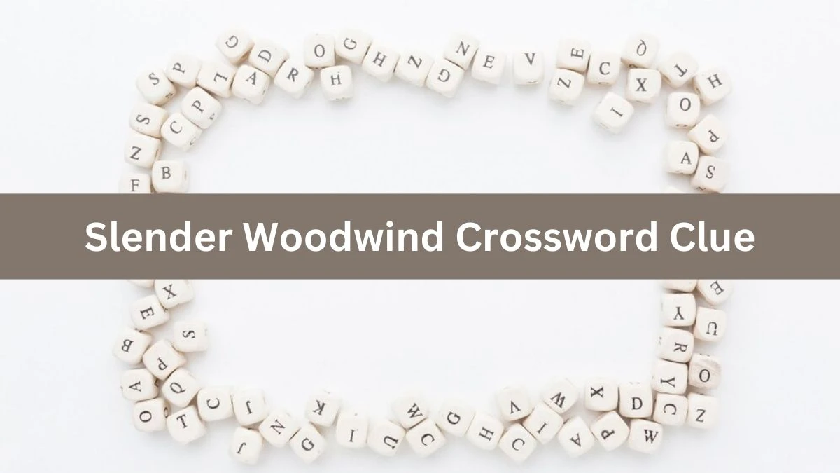 Universal Slender Woodwind Crossword Clue Puzzle Answer from August 06, 2024