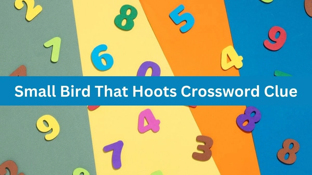 Small Bird That Hoots Universal Crossword Clue Puzzle Answer from August 21, 2024