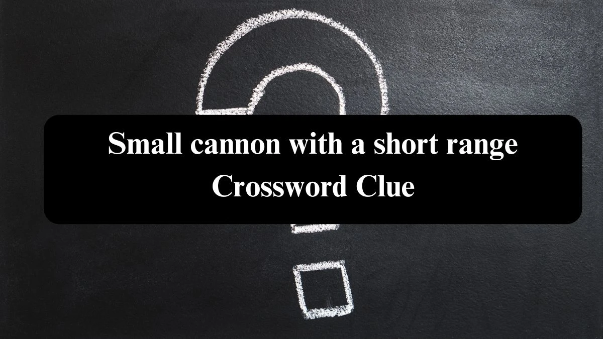 Small cannon with a short range Crossword Clue Answers on August 05, 2024