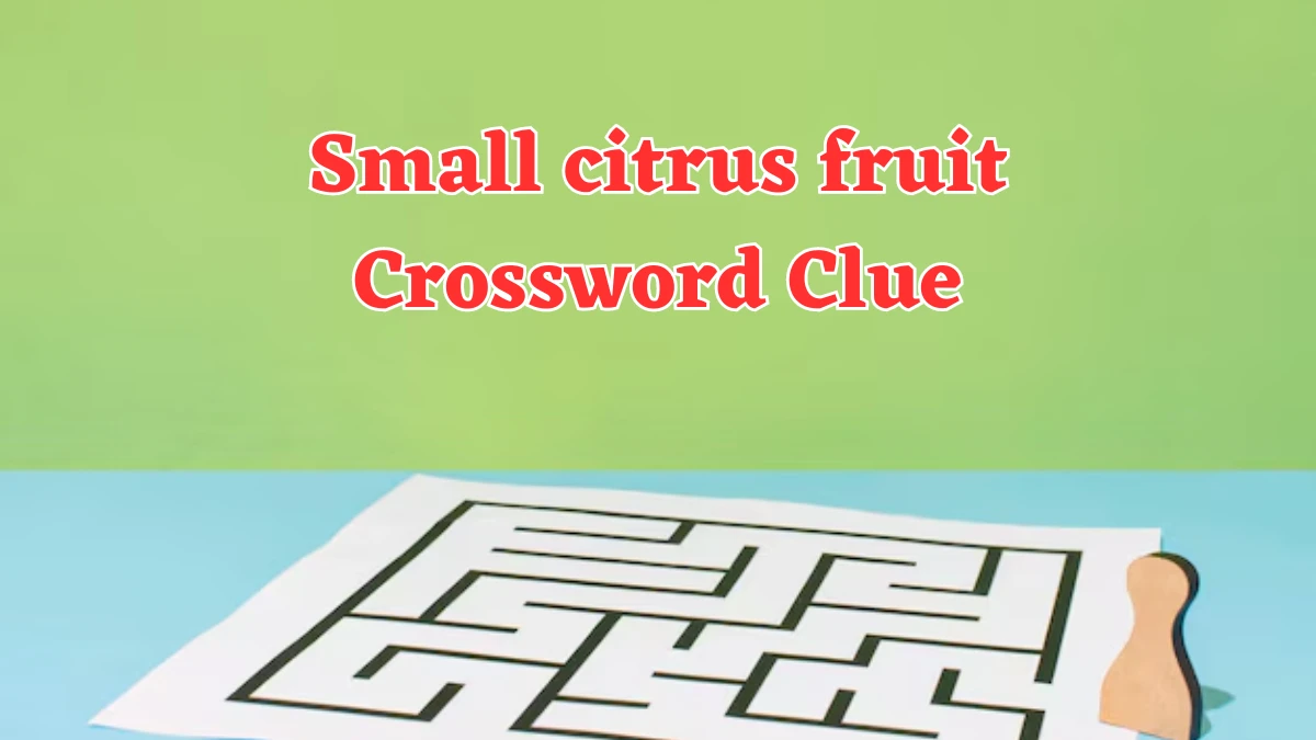 Small citrus fruit Daily Themed Crossword Clue Puzzle Answer from August 05, 2024