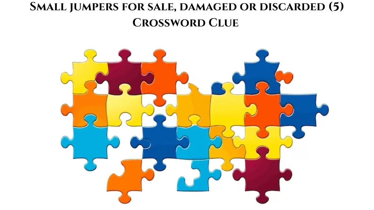 Small jumpers for sale, damaged or discarded (5) Crossword Clue Puzzle Answer from August 12, 2024