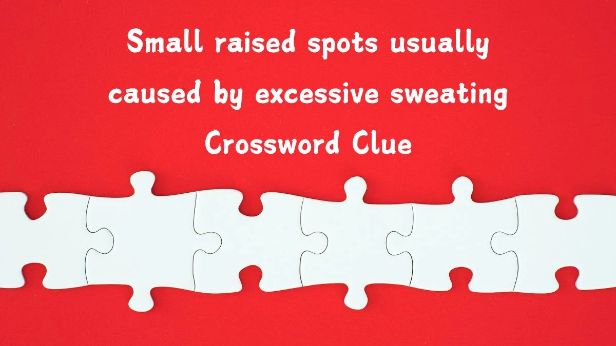 Small raised spots usually caused by excessive sweating (4,4) Crossword Clue Answers on August 06, 2024