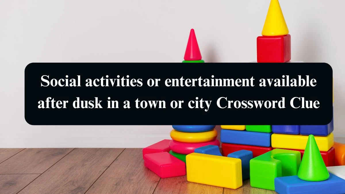 Social activities or entertainment available after dusk in a town or city Crossword Clue Puzzle Answer from August 15, 2024