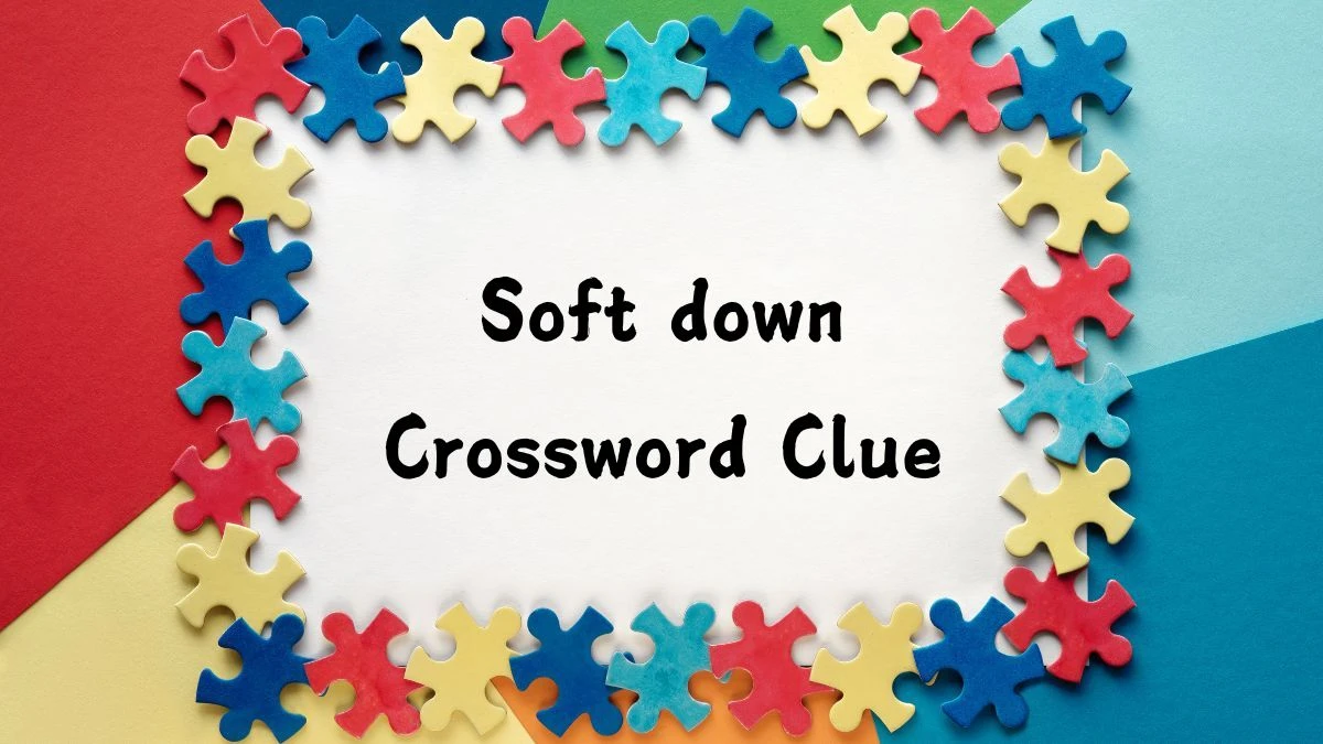 Soft down Daily Commuter Crossword Clue Puzzle Answer from August 03, 2024