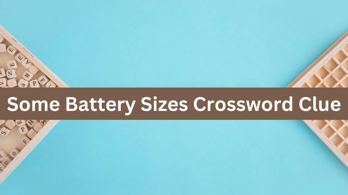 Some Battery Sizes Daily Themed Crossword Clue Puzzle Answer from August 02, 2024