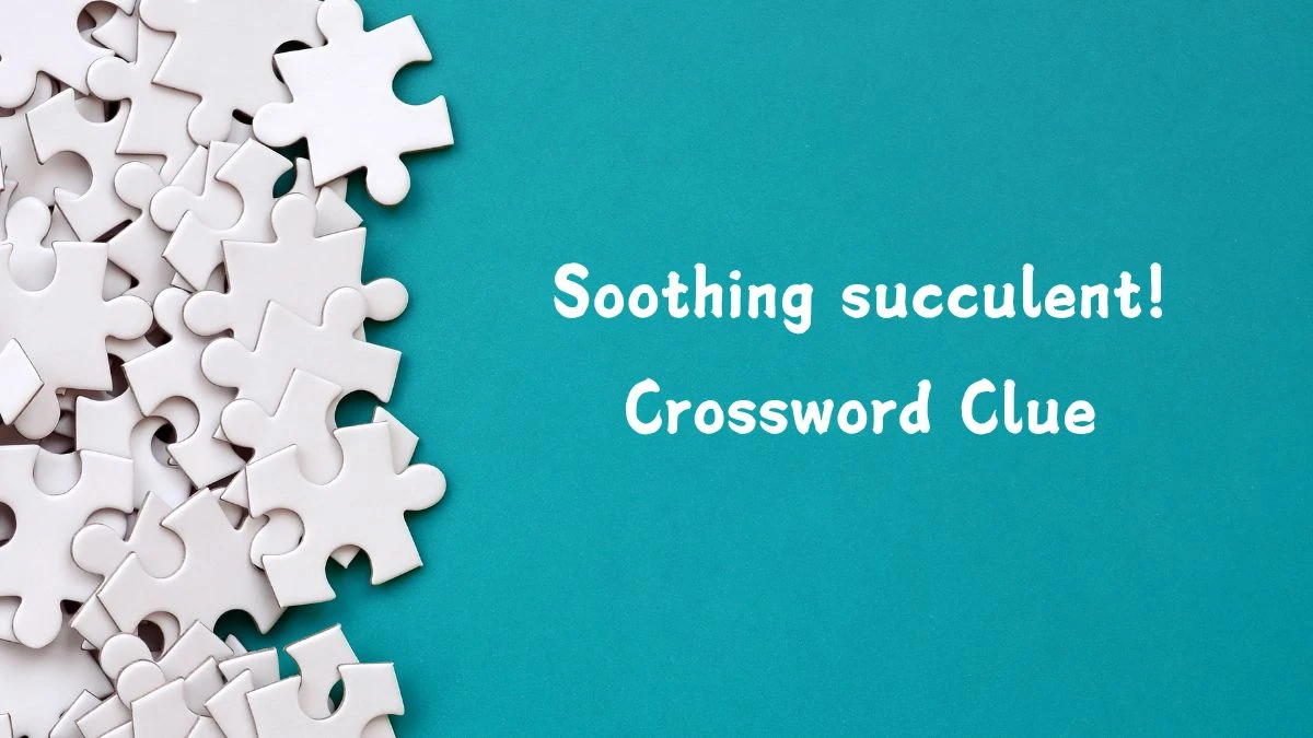 Soothing succulent! (4,4) Crossword Clue Puzzle Answer from August 03, 2024