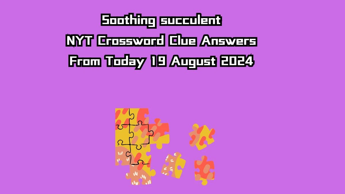 Soothing succulent NYT Crossword Clue Puzzle Answer on August 19, 2024