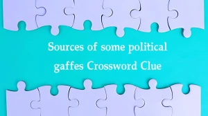 Sources of some political gaffes (7) NYT Crossword Clue Puzzle Answer from August 09, 2024