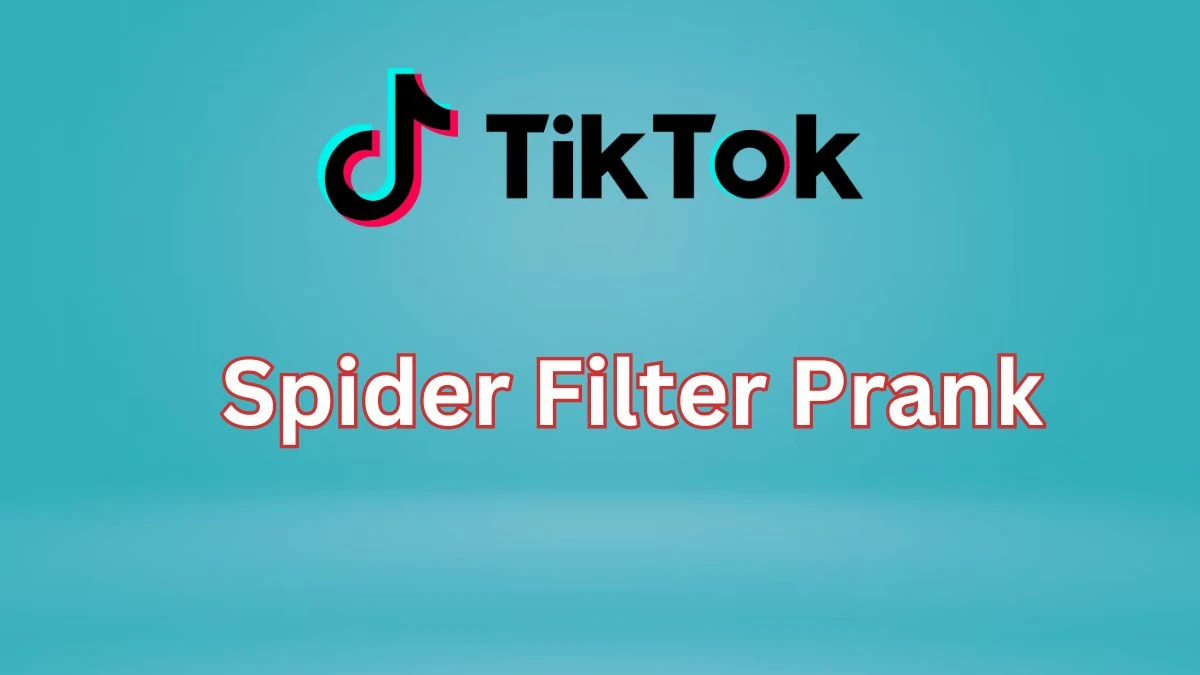 Spider Filter Prank, How to Do The Spider On Face Filter Prank on Tiktok?