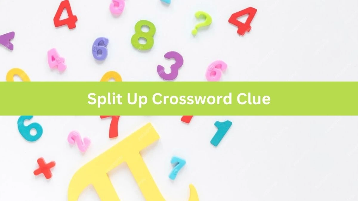 LA Times Split Up Crossword Clue Answers with 5 Letters from August 09, 2024