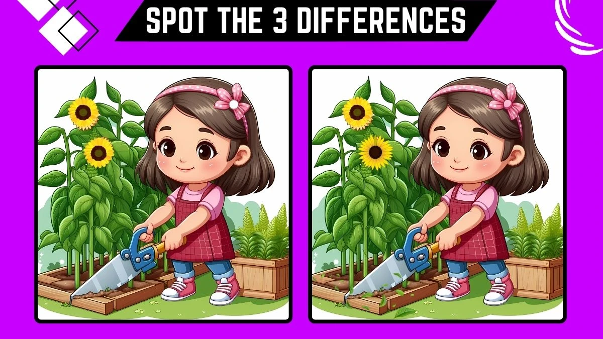 Spot the 3 Differences Game: Only People with 20/20 Vision Can Spot the 3 Differences in this Girl Image in 9 Secs