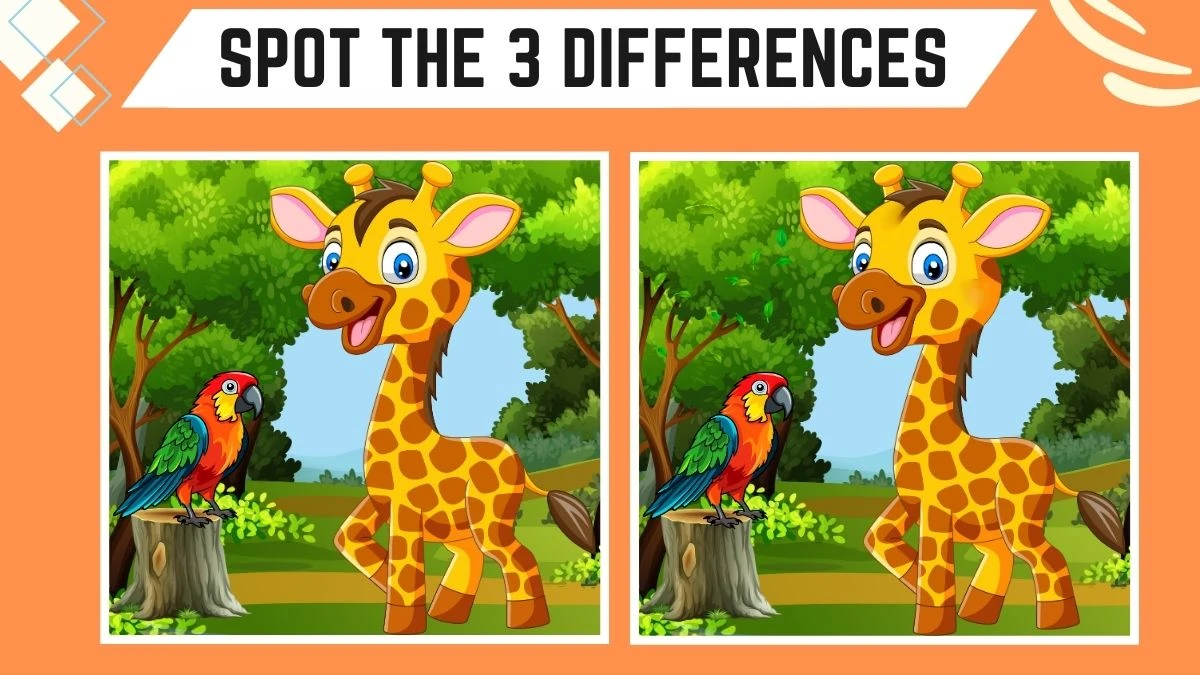 Spot the 3 Differences Picture puzzle Game: Only Hawk Eyes Can Spot the 3 Differences in this Giraffe and Parrot Image in 8 Secs