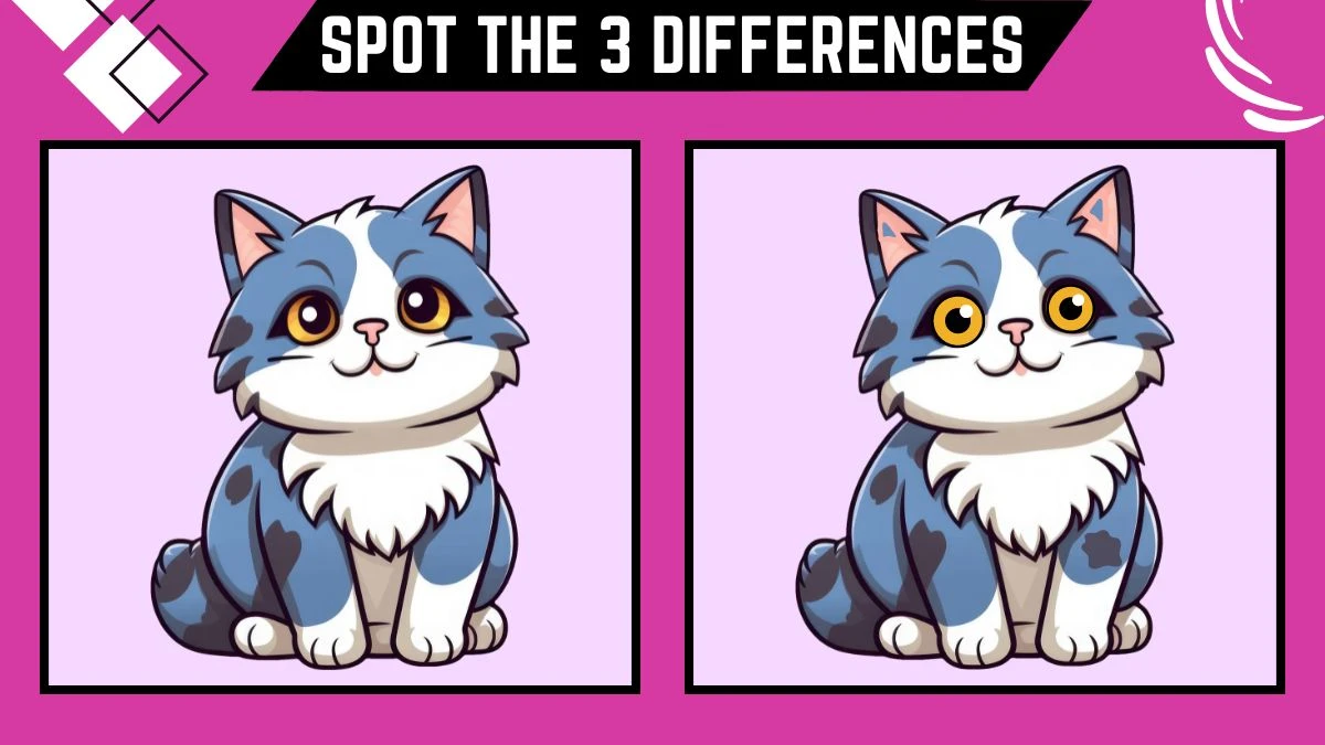 Spot the 3 Differences Picture Puzzle Game: Only intelligent people can Spot the 3 Differences in this Cat Image in 8 Secs