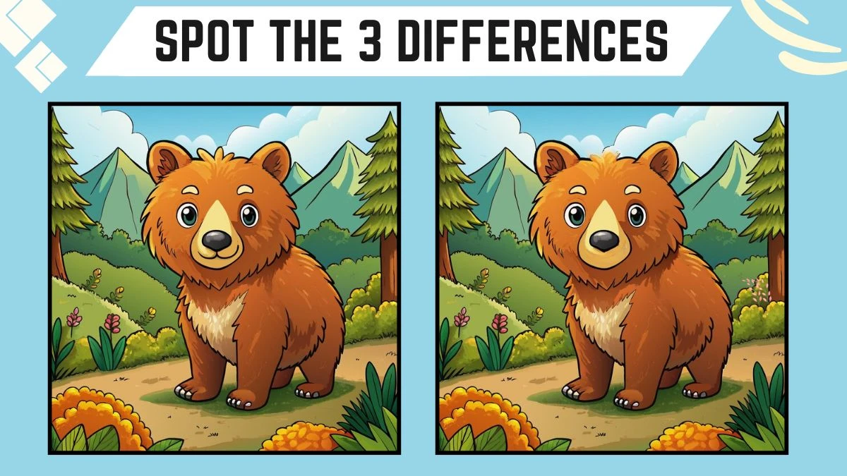 Spot the 3 Differences Picture Puzzle Game: Only People with 20/20 Vision Can Spot the 3 differences in this Bear Image in 8 Secs