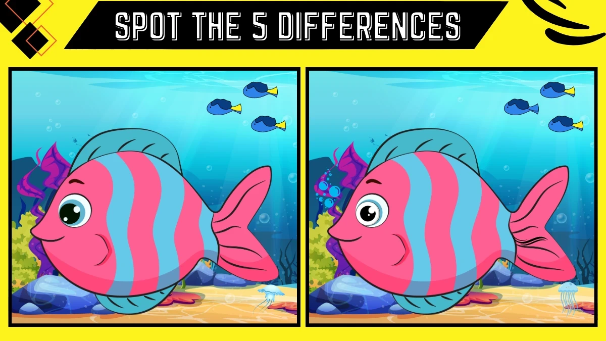 Spot the 5 Difference Picture Puzzle Game: Prove your Sharp Eyes by Spotting the 5 Differences in this Fish Image in 9 Secs