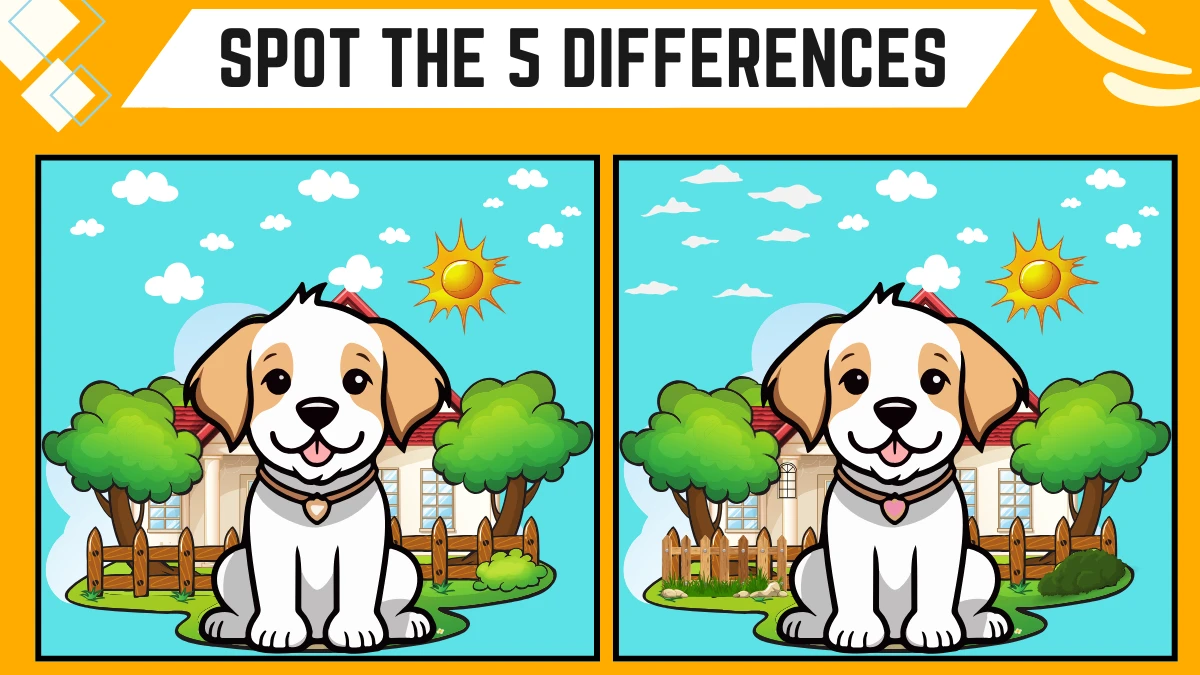 Spot the 5 Differences: Only the Eagle eyes Can Spot the 5 Differences in this Puppy Image in 14 Secs| Picture Puzzle Game