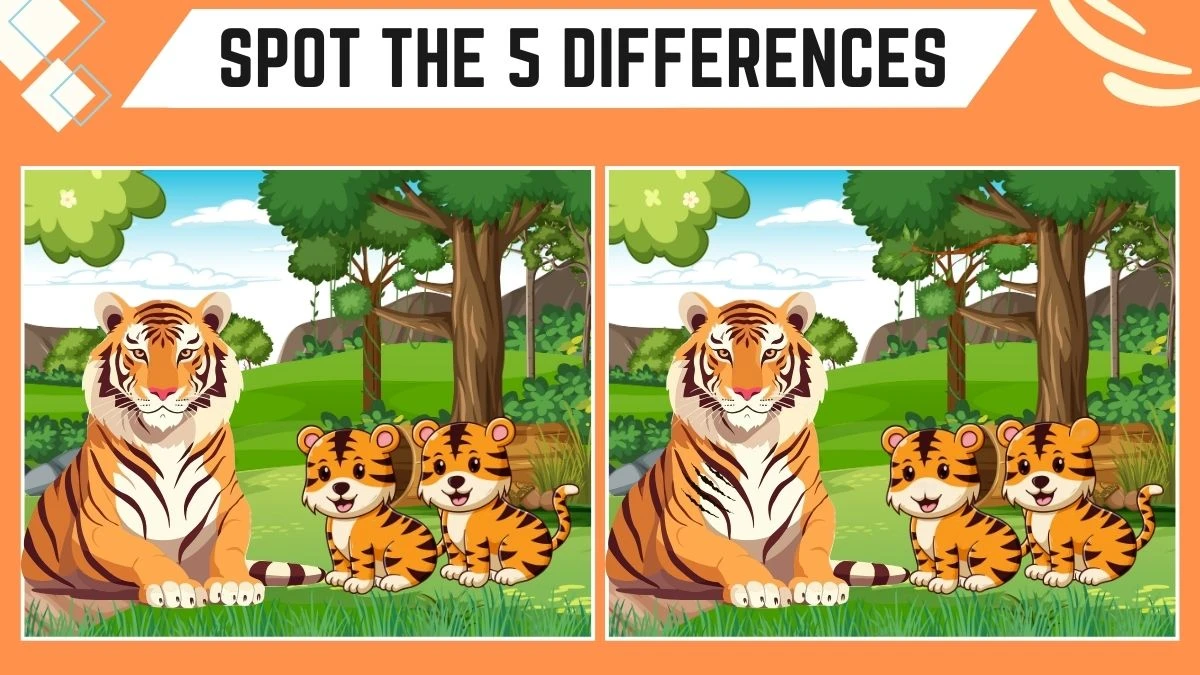 Spot the 5 Differences Picture Puzzle Game: Only Genius with Eagle Eyes Can Spot the 5 Differences in this Tiger and Her Babies Image in 15 Secs